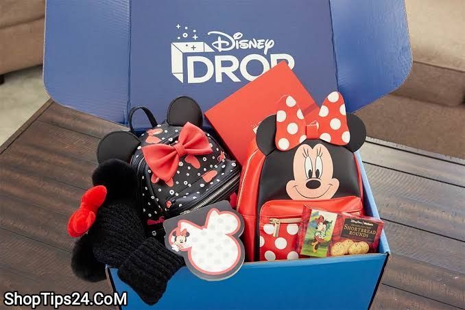 Disney Drop Box