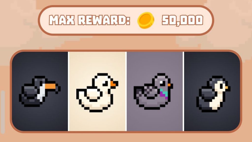 BIRD Daily Combo 12 November 2024