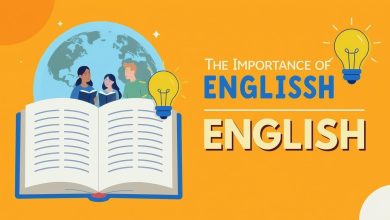 76c06b5f 90b7 4009 8885 aa4b26ded4ea