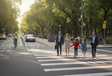 pedestrian & bicycle accidents